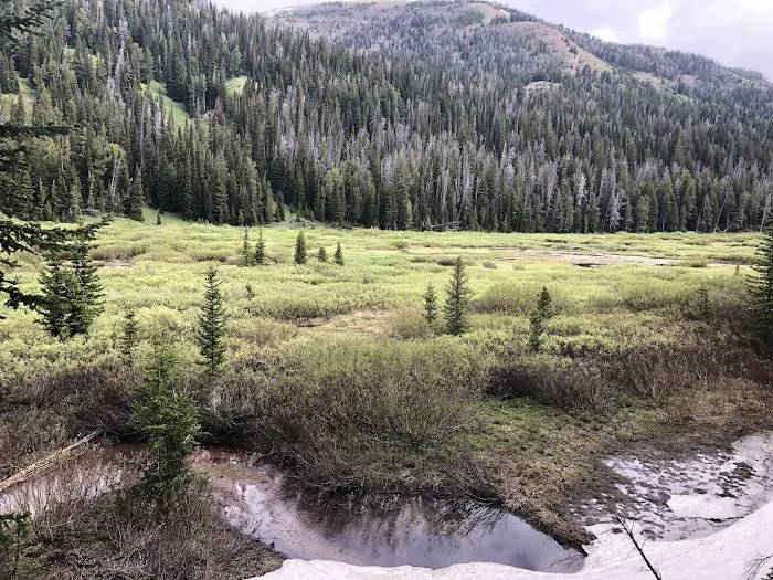 Middle Piney Lake Campground Picture 1