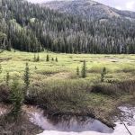 Middle Piney Lake Campground