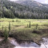 Middle Piney Lake Campground ico