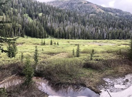 Middle Piney Lake Campground