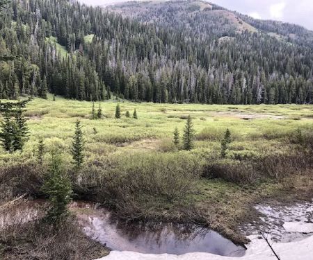 Middle Piney Lake Campground