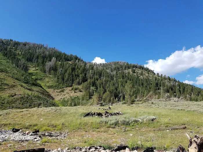 Middle Piney Lake Campground Picture 8