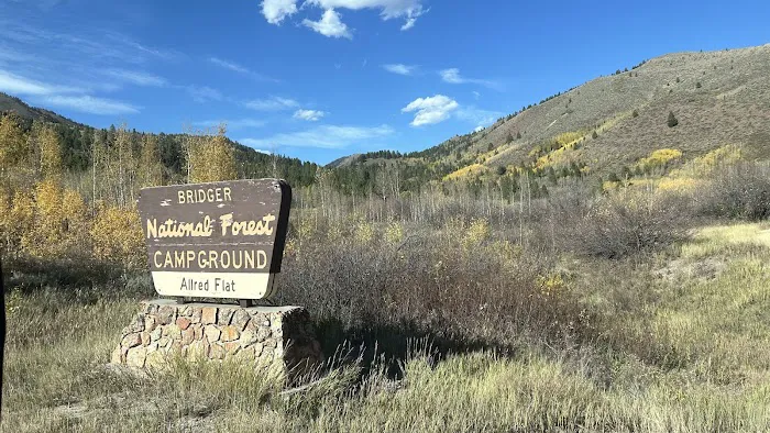 Allred Flat Campground Picture 8