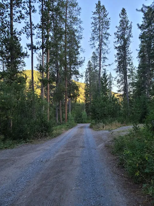 Allred Flat Campground Picture 9