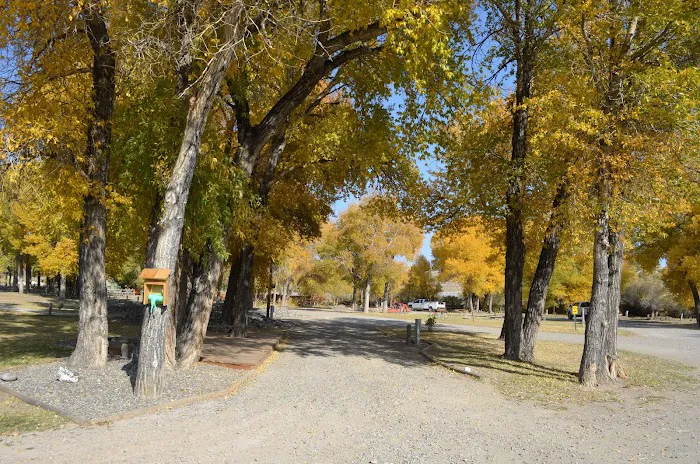 Dubois / Wind River KOA Holiday Picture 8