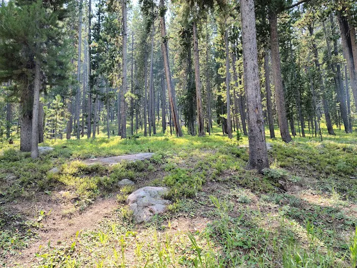 Sibley Lake Campground Picture 1