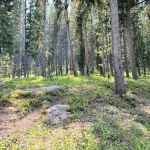 Sibley Lake Campground