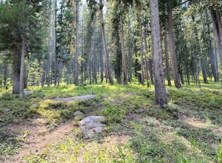 Sibley Lake Campground