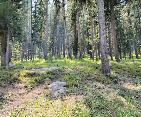 Sibley Lake Campground