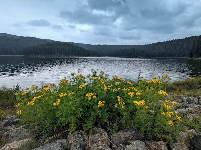 Sibley Lake Campground Picture 3