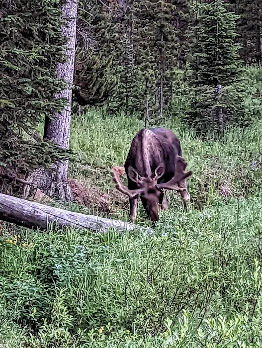 Sibley Lake Campground Picture 4