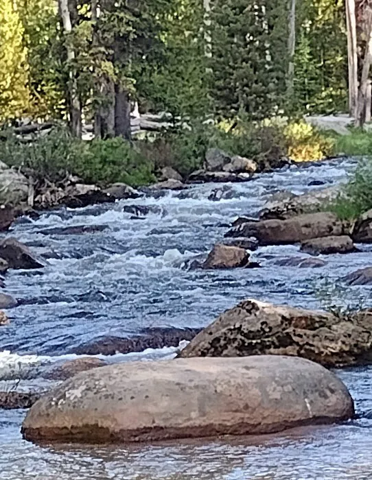 Tie Flume Campground Picture 3