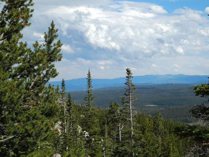 Tie Flume Campground Picture 2
