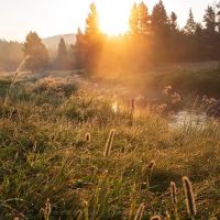 Tie Flume Campground ico