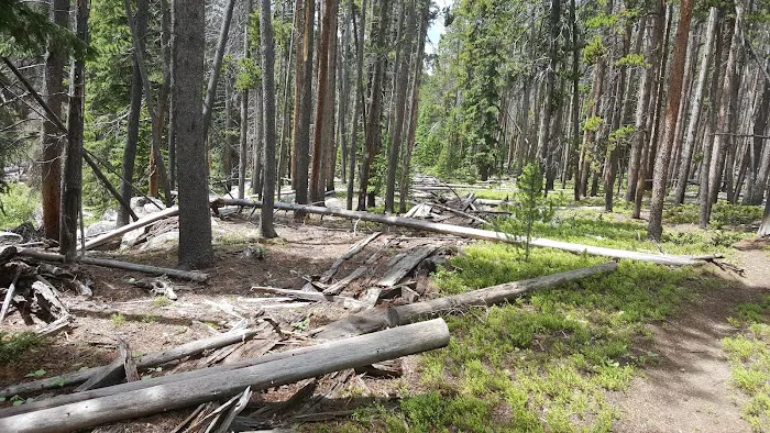 Tie Flume Campground Picture 9