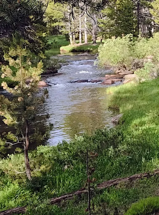 Tie Flume Campground Picture 6