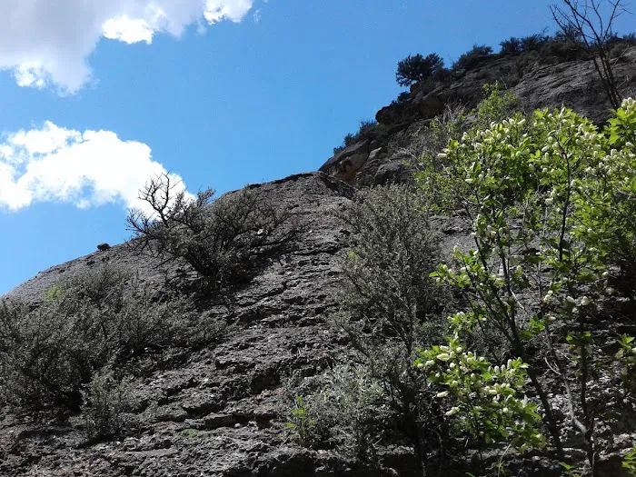 Tongue River Campground Picture 5