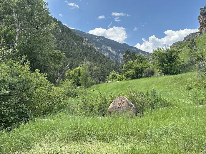 Tongue River Campground Picture 9
