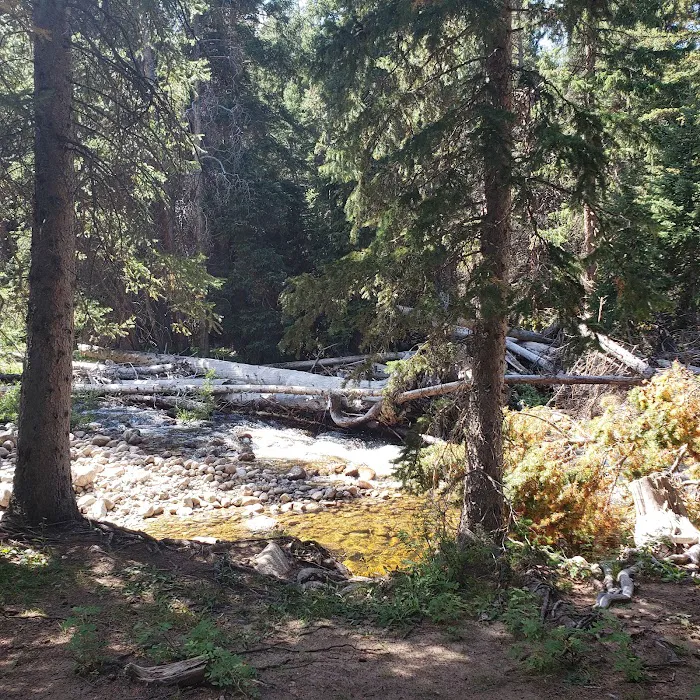 Shell Creek Campground Picture 3