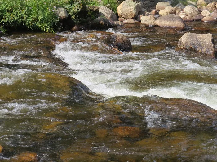 Shell Creek Campground Picture 6
