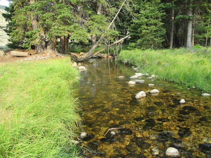 Shell Creek Campground Picture 5