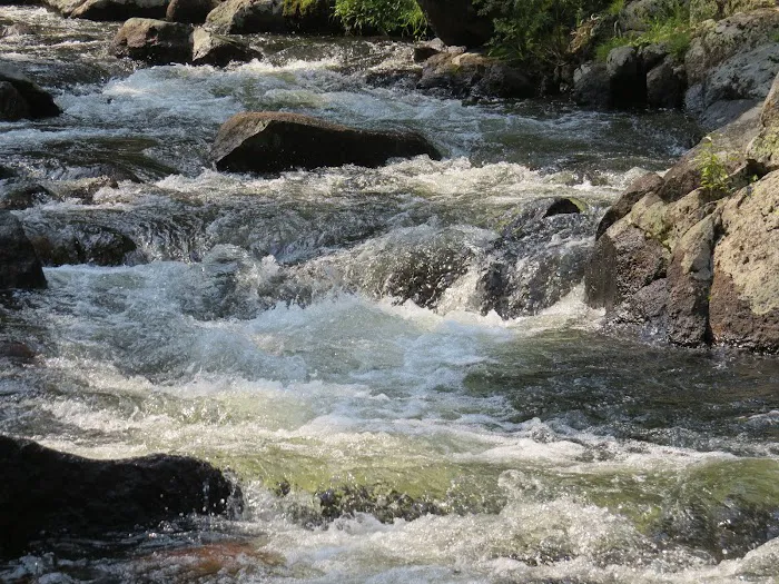 Shell Creek Campground Picture 4