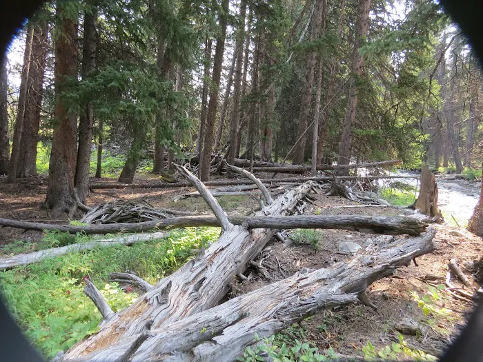 Shell Creek Campground Picture 8