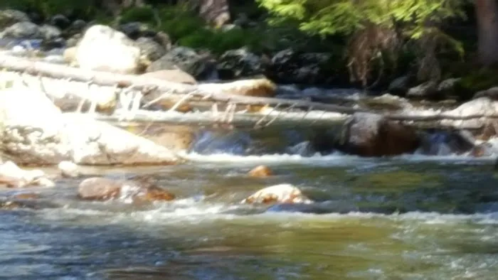 RANGER CREEK Picture 4