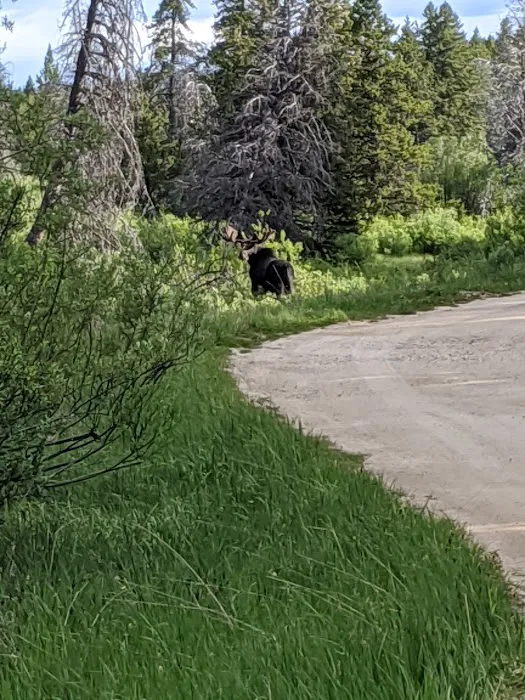East Fork Campground Picture 8