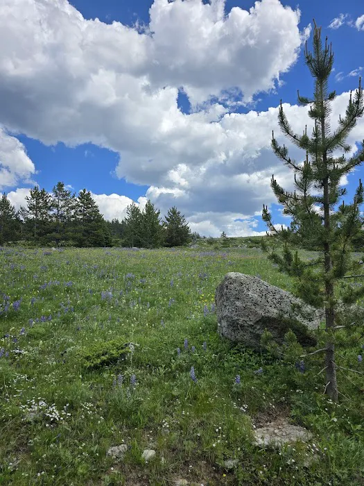 East Fork Campground Picture 4