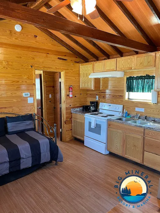 Big Mineral Resort & Marina Picture 4