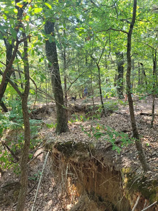 Buncombe Creek Campground Picture 7