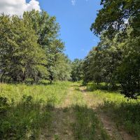 Cross Timber Camp 1ground ico