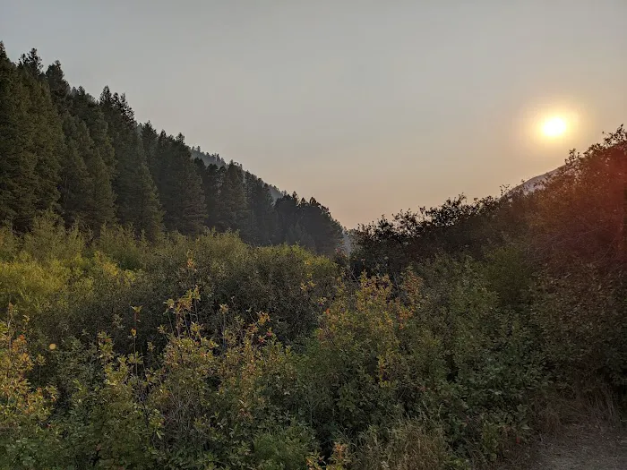 Montpelier Canyon Campground Picture 6