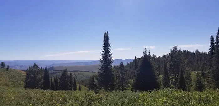 Montpelier Canyon Campground Picture 7