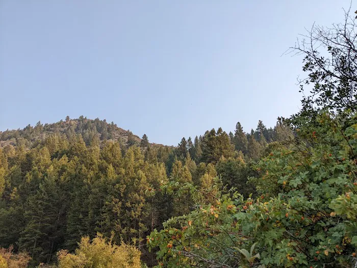 Montpelier Canyon Campground Picture 5