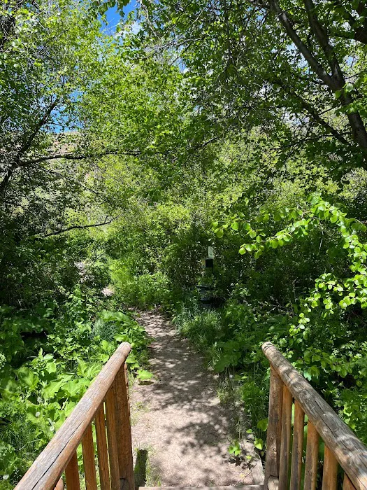 Montpelier Creek KOA Journey Picture 7