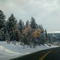 Emigration Campground ico