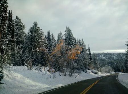 Emigration Campground