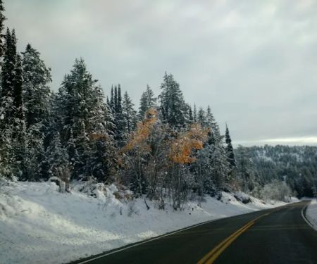 Emigration Campground