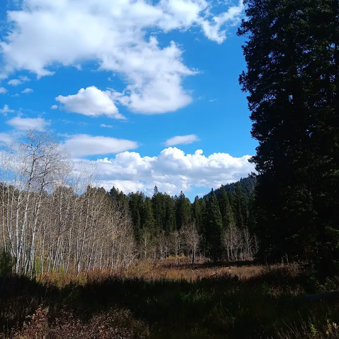 Emigration Campground Picture 8