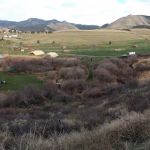 Smith's Trout Haven