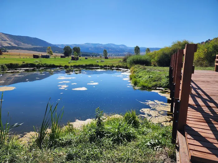 Smith's Trout Haven Picture 5