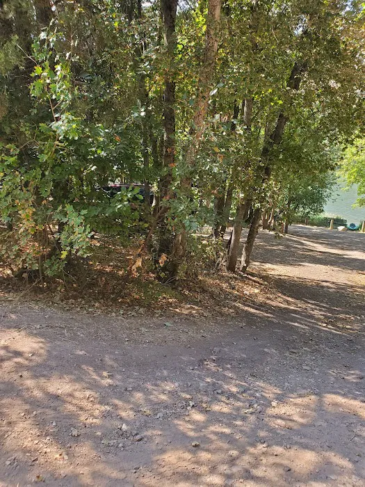 Maple Grove Campground Picture 7