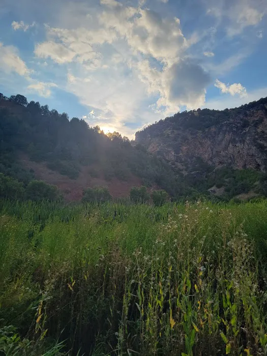 Redpoint Campground Picture 2