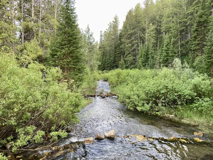 Big Spring Campground Picture 6