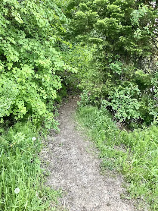 Big Spring Campground Picture 5