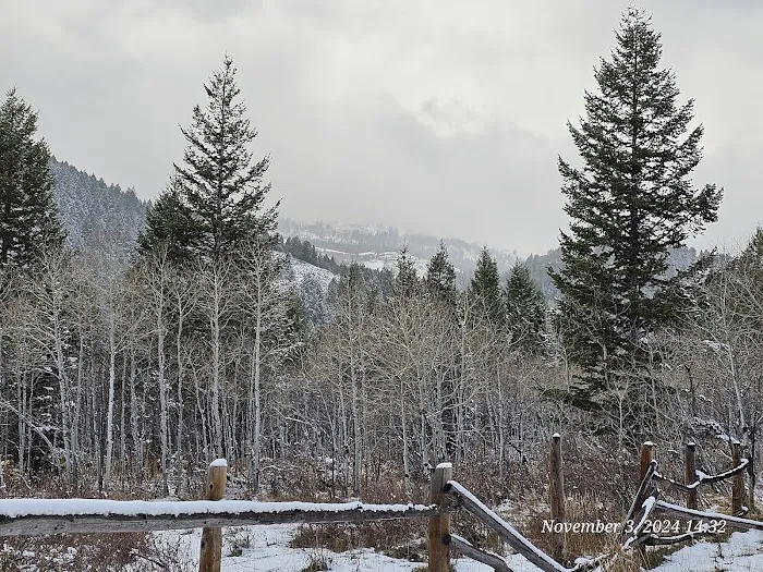 Big Spring Campground Picture 7