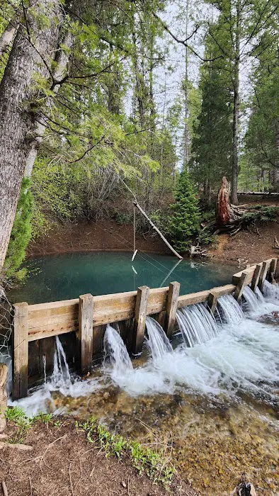 Big Spring Campground Picture 9