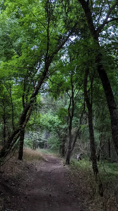 Goodenough Creek Campground Picture 2